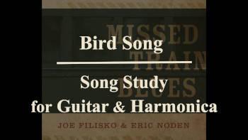 Bird Song Workshop