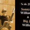 In The Style Of Big Joe Williamson And Sonny Boy Williamson